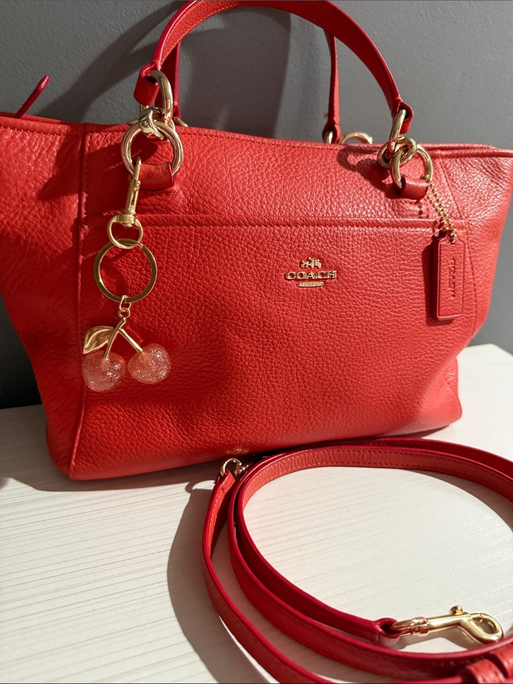 Coach Mini Ellis Tote is crafted from pebbled leather - Picture 2 of 11